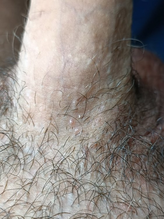 15945605000811011930422189103807.thumb.jpg.edddb7b9f60aaeb721f9bdda824a011f.jpg