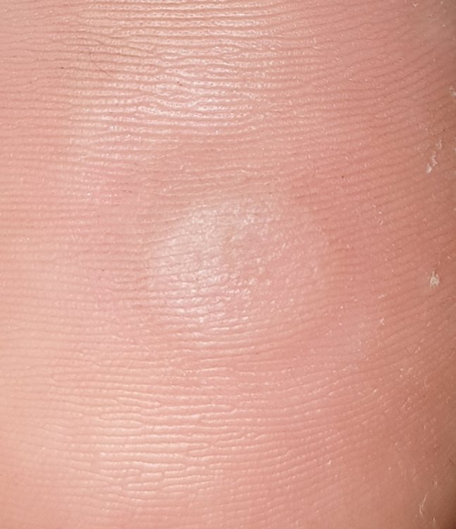 20200716_130958.jpg