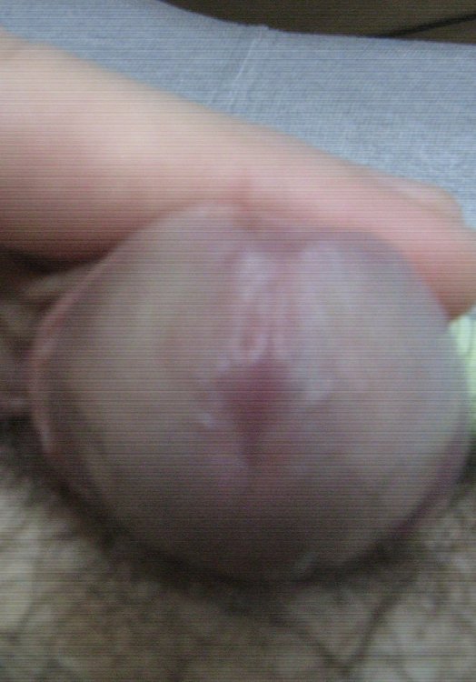 352 007.jpg