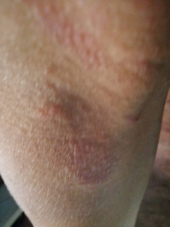 IMG_20200701_071810.jpg