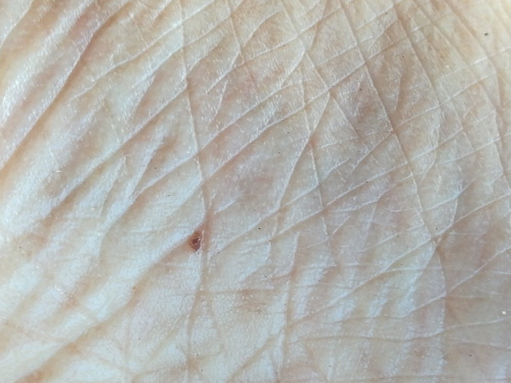 IMG_20200704_201005.jpg