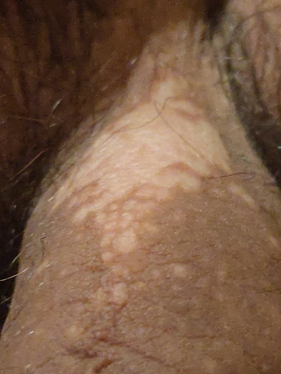 IMG_20200727_222220.jpg