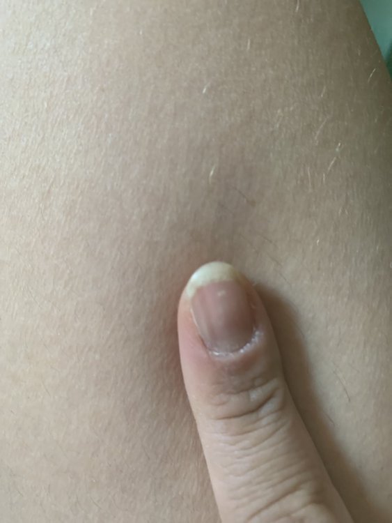 image.jpg
