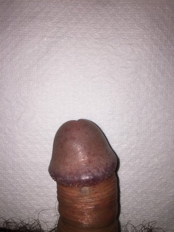 thumbnail_IMG_9828.jpg