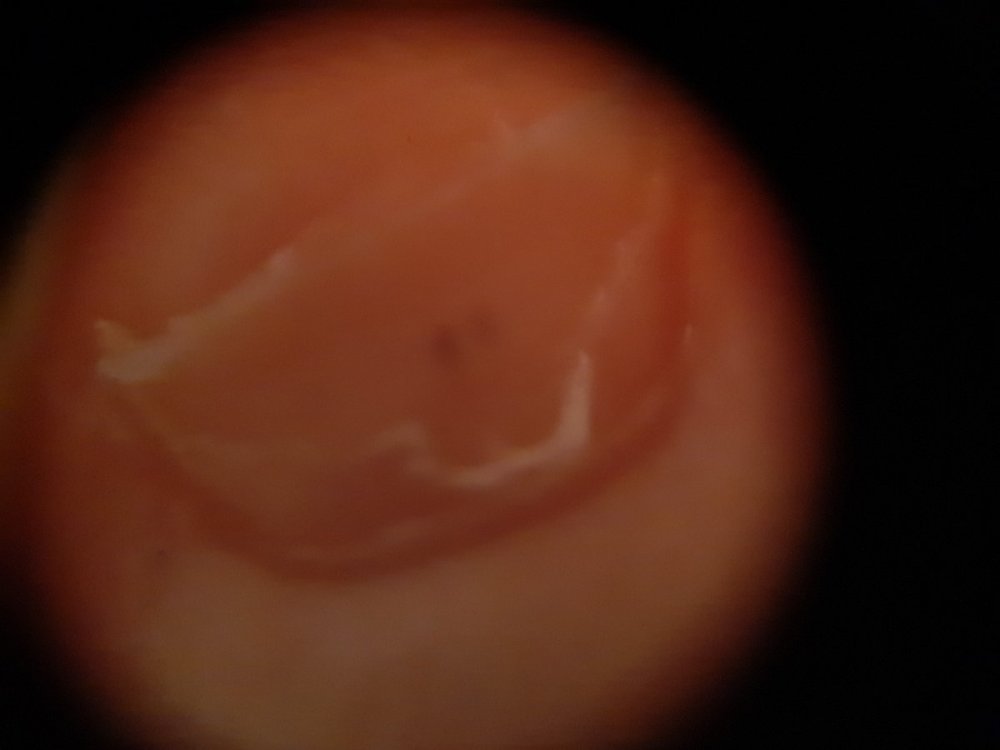 20200810_161654.jpg