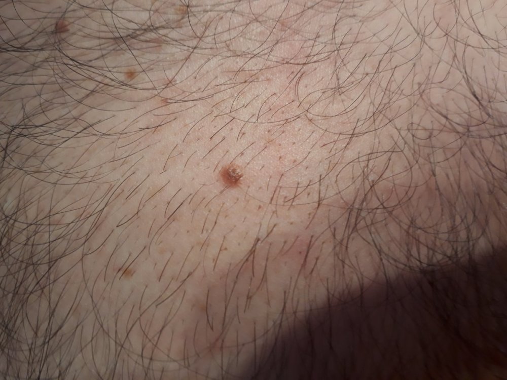 20200816_160922.jpg