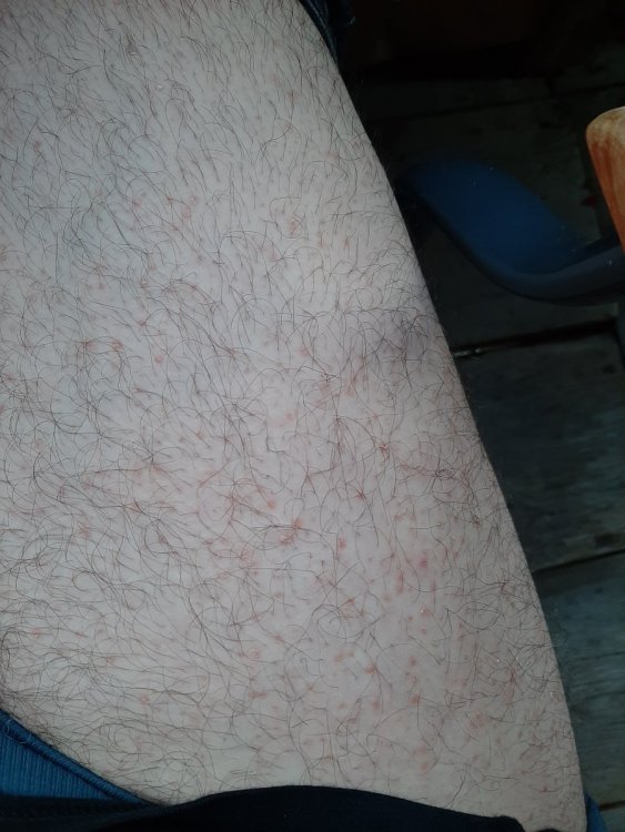 20200821_200835.jpg