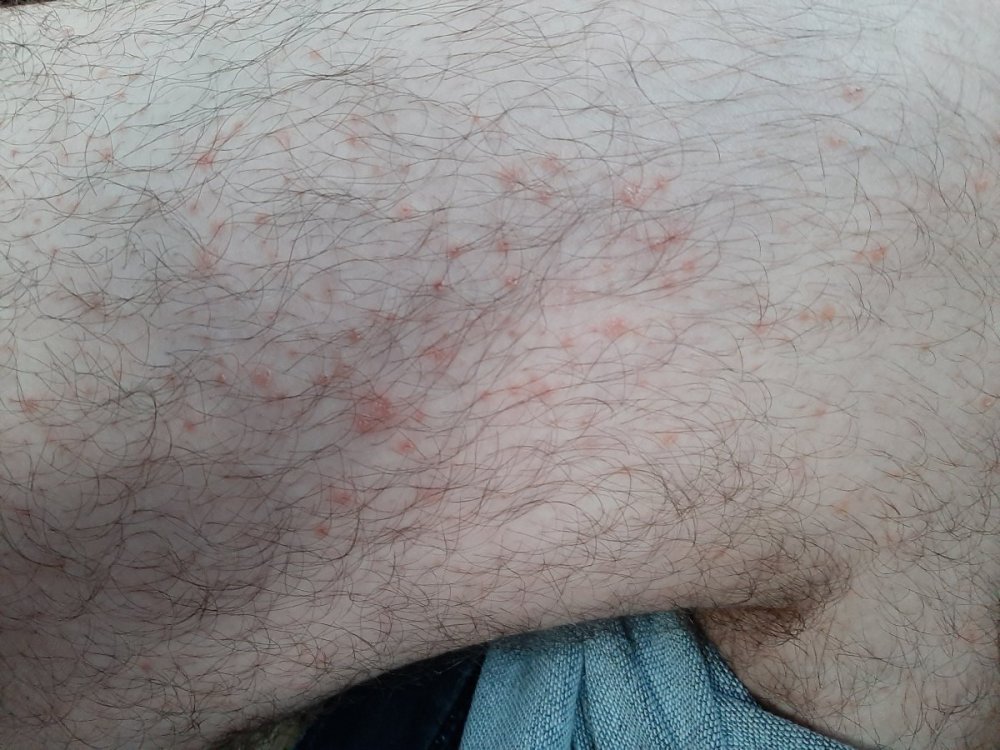 20200821_200850.jpg