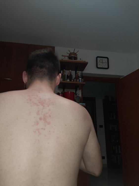 20200826_101317.jpg