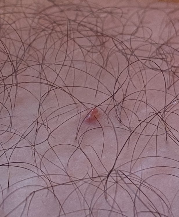 8574C059-A8BC-40F6-B0CF-A1E33FEB73D3.jpeg