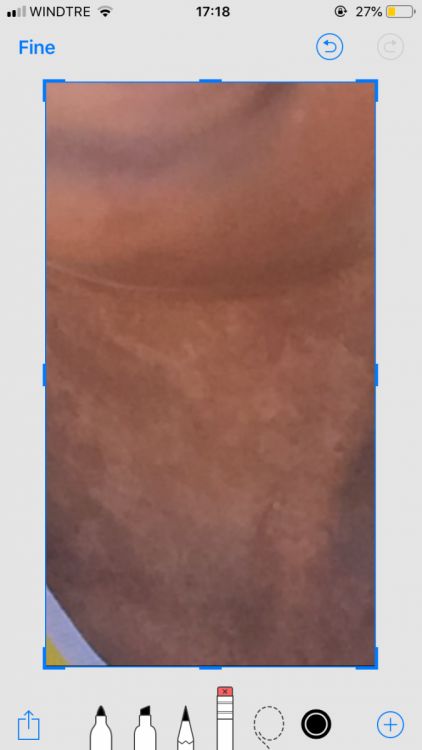 BF9329BC-8DCF-47C2-AB48-C796E0238A7F.png