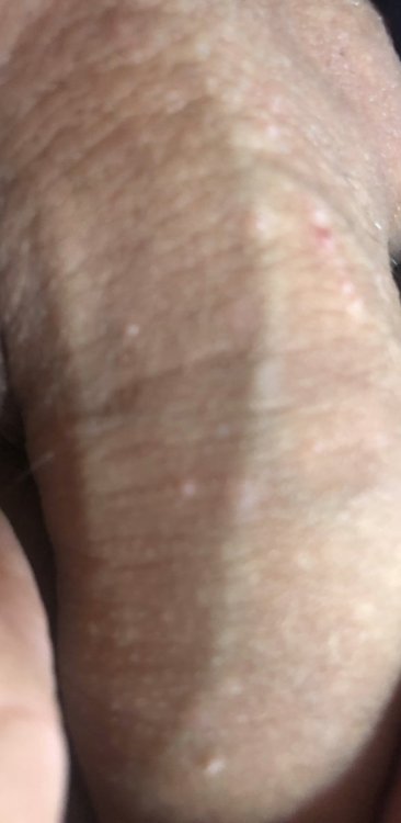 C35896FE-5344-478B-8A2B-F2B3BFD2F8A3.thumb.jpeg.05561b35eb3d81ca9b2e3c3947ca642a.jpeg