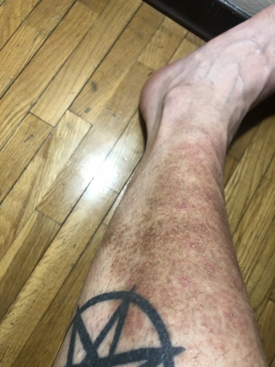 FBEEF04F-4F57-49A6-A737-FA83C8786E5A.thumb.jpeg.3e11b572706670e47430f7adbb8832e4.jpeg