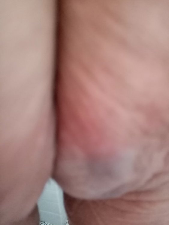 IMG_20200802_082502.thumb.jpg.12668f6bf055b4971b30c696107218b1.jpg