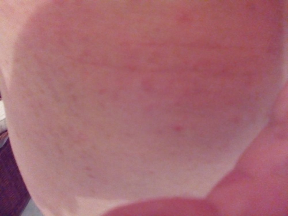 IMG_20200814_142822.jpg