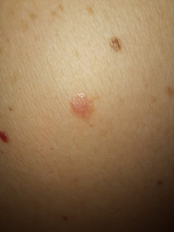 20200904_215319.jpg