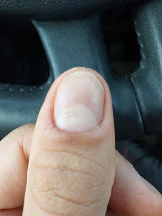 20200921_074947.thumb.jpg.4310cc3554b889a41f4a9f1a601cbe35.jpg