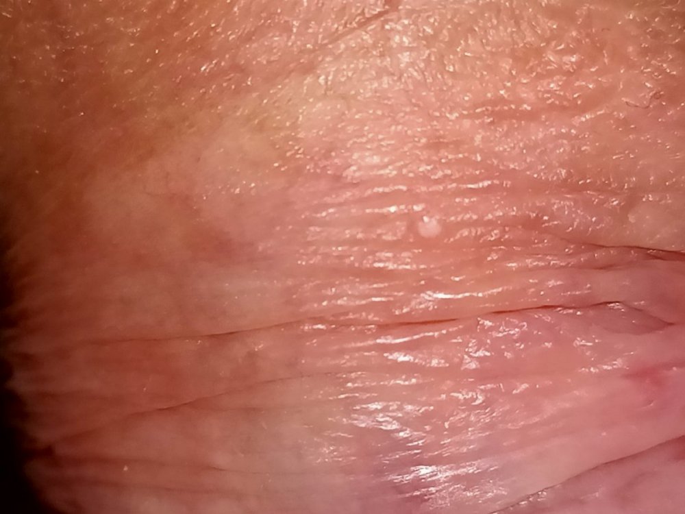 IMG20200909105850.jpg
