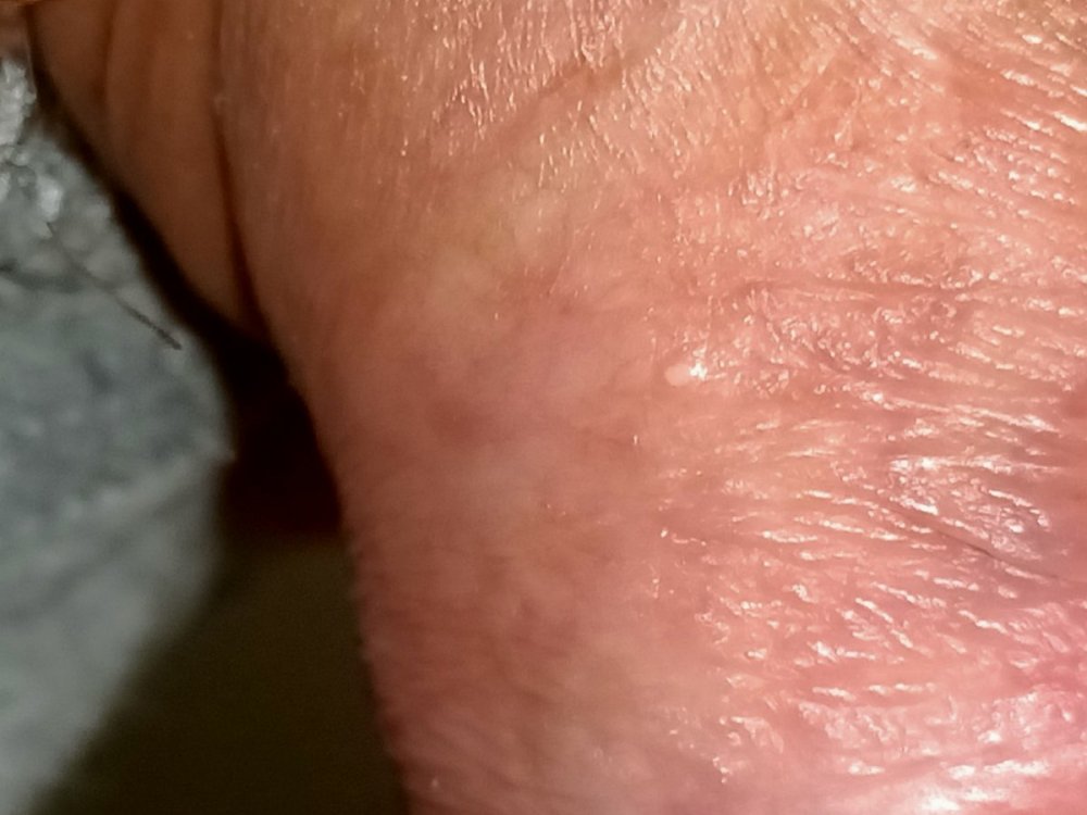 IMG20200909105938.jpg