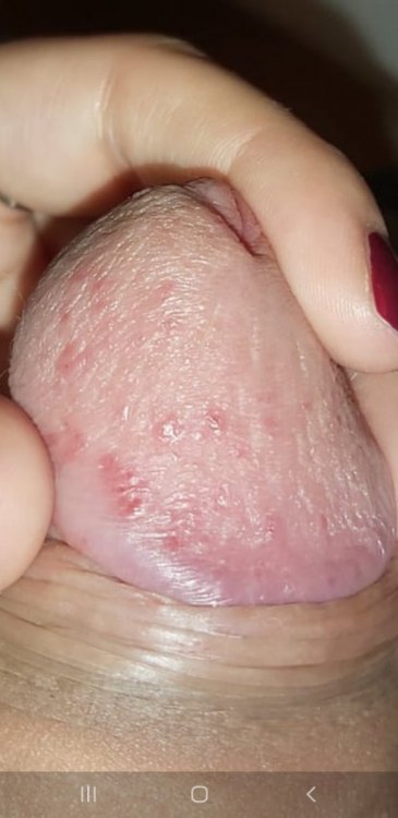 Screenshot_20200904-004537_Gallery.thumb.jpg.69ed3ed5032a23b4040cc9d7cfeab79f.jpg