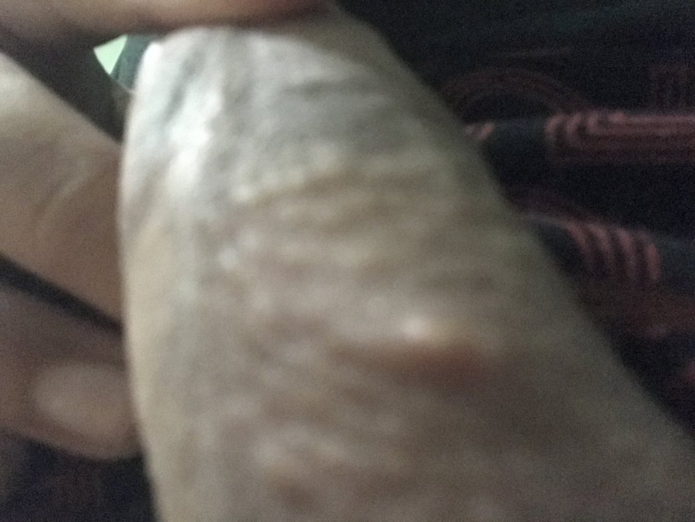 144465B4-6494-49FC-8522-F54E79D9F890.jpeg