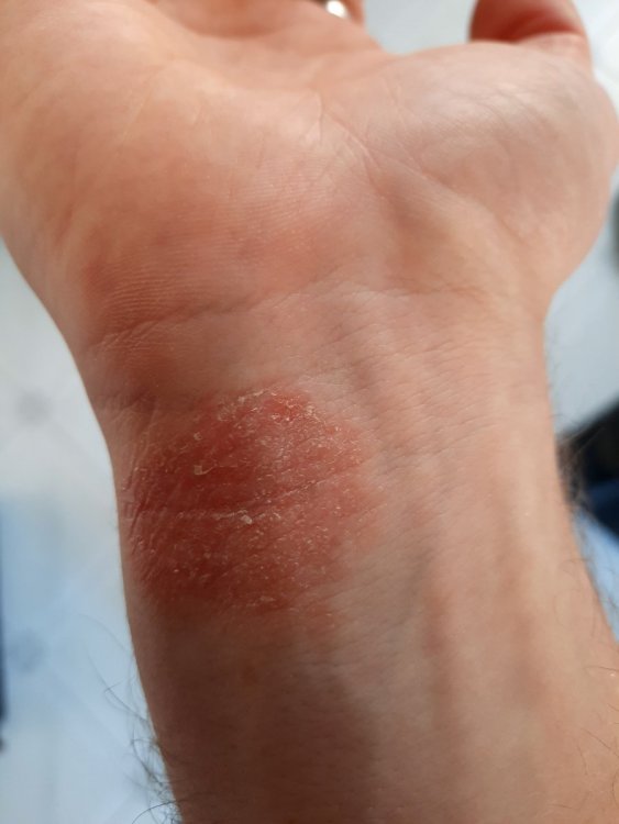 20201008_164619.jpg