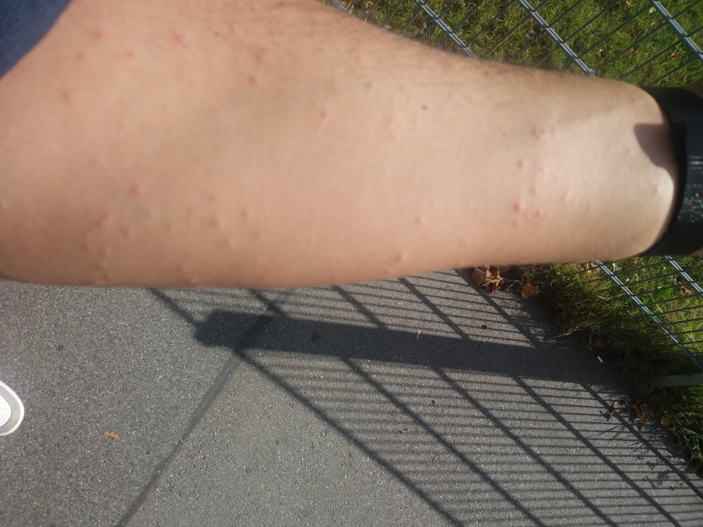 20201009_134218.thumb.jpg.aa44e98efdfdbe0b15430dac86f7841d.jpg