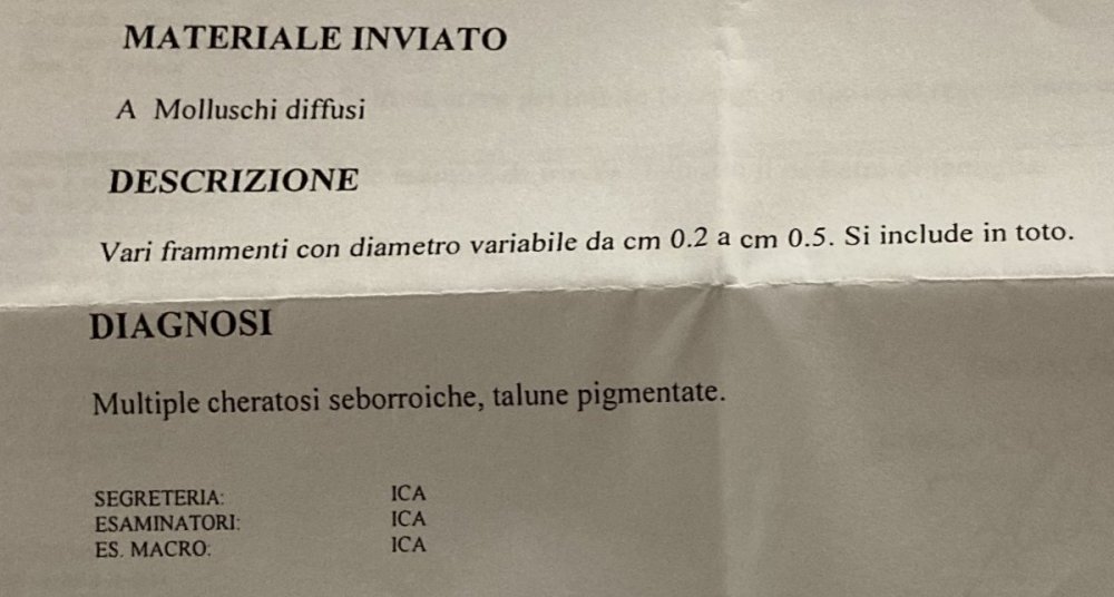 28A64B76-73F3-40EE-9D55-C34D2C6EC3C2.jpeg
