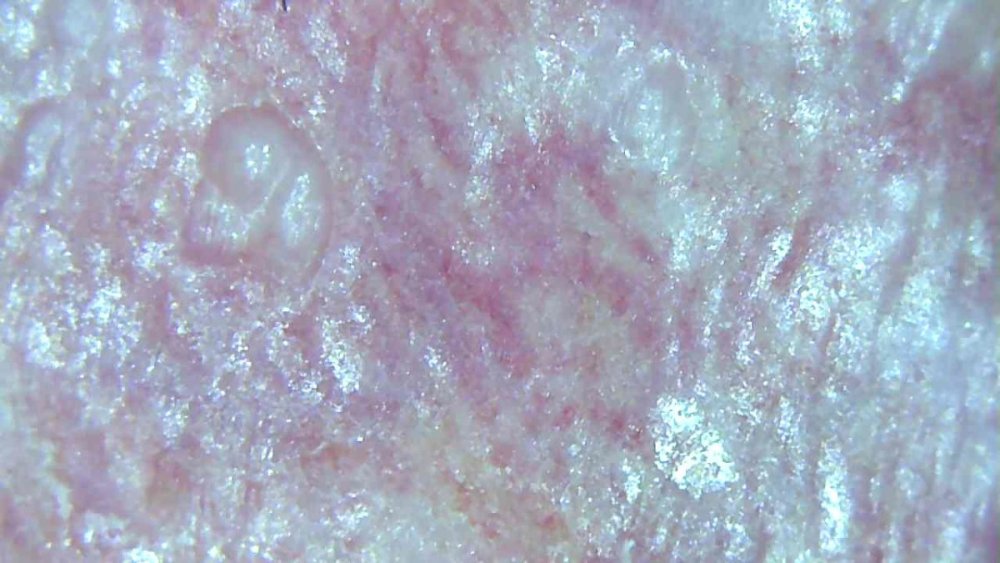 DA236473-A9C3-40E6-AD09-462613CB1658.jpeg