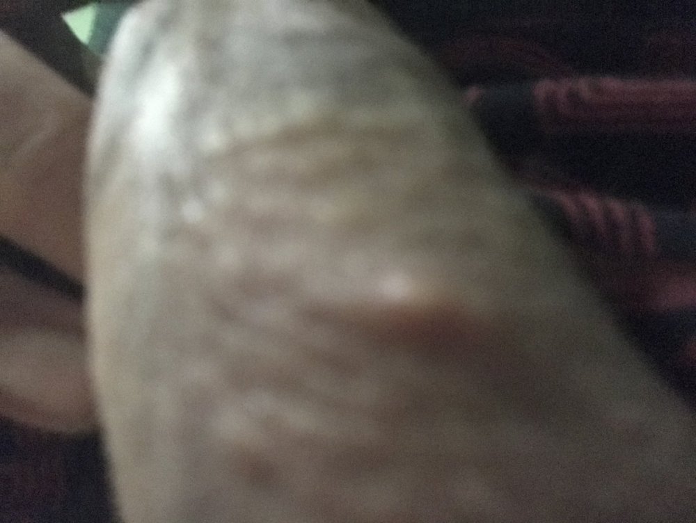ED5FFB10-8611-4F27-8F09-48B8D4E23BBE.jpeg
