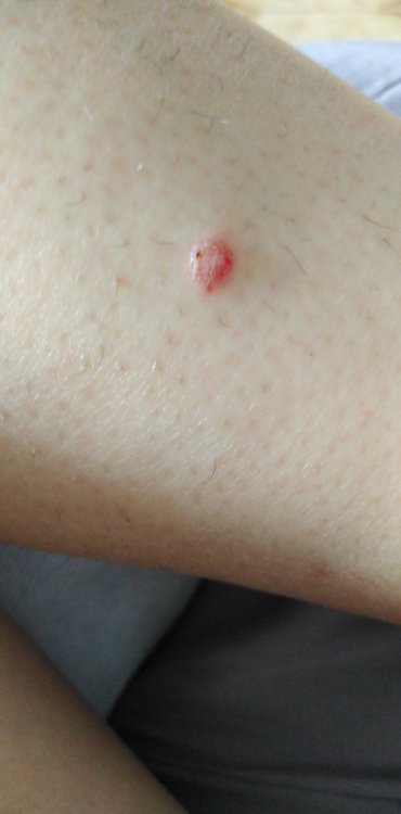 IMG-20201010-WA0004.thumb.jpeg.d018f722eb74ebd068c7465130d540e2.jpeg