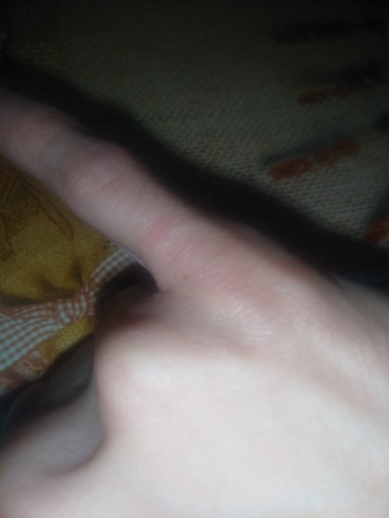 IMG_20201010_115745.jpg