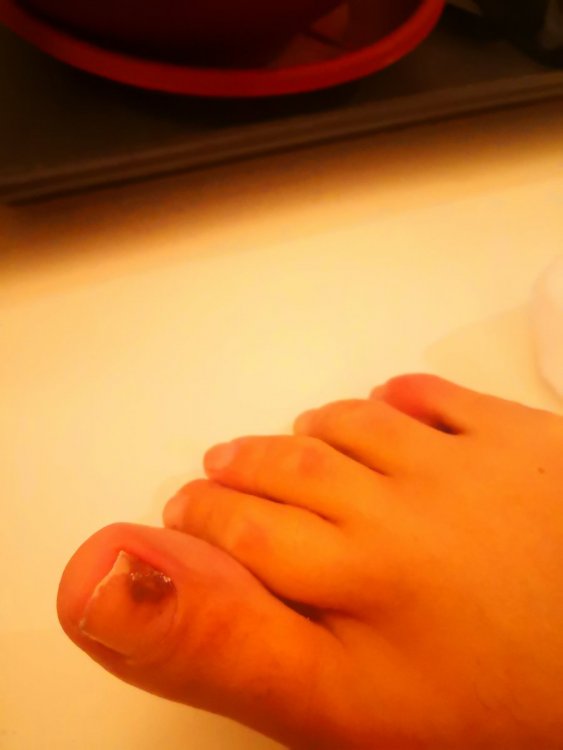 IMG_20201017_233735.thumb.jpg.9d667b1d1438c1f99bc995a113e324fa.jpg