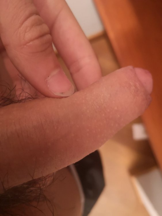 1604684462278.thumb.jpg.3a06d6d5a9bdd931c0c438caeb79fd90.jpg