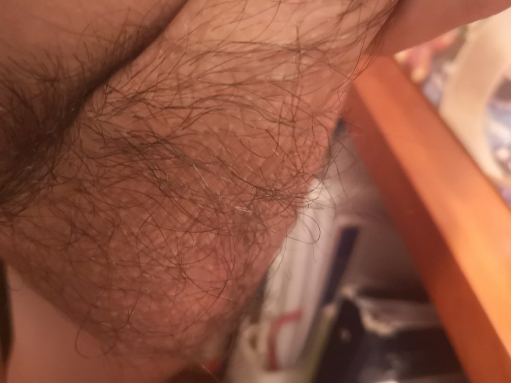 1606008394578.thumb.jpg.c318ecc09f0a182ab9d6316e98cf7751.jpg