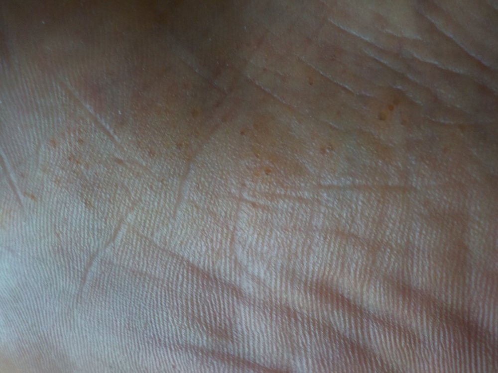19Nov2020-.JPG