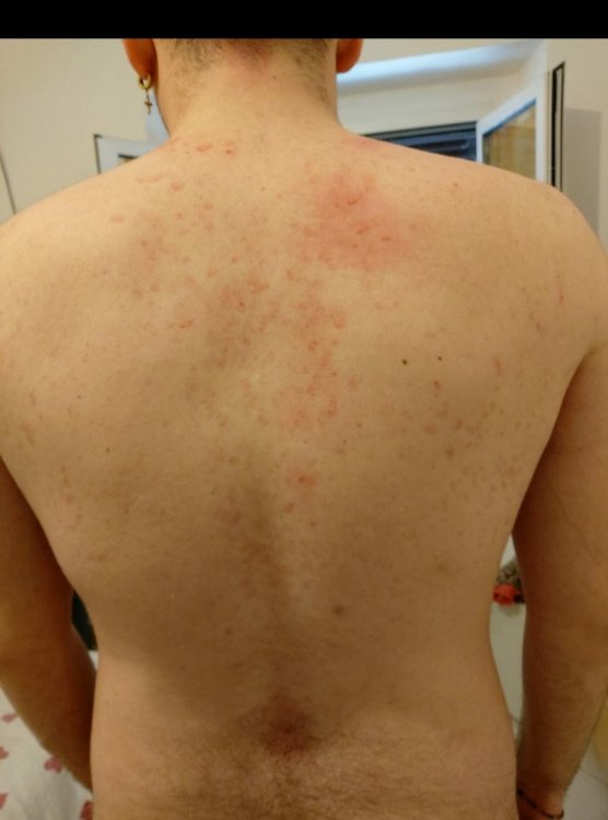20201107_081010.jpg