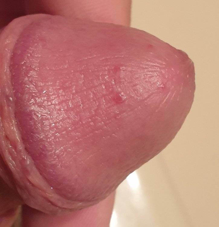 20201109_184414.jpg