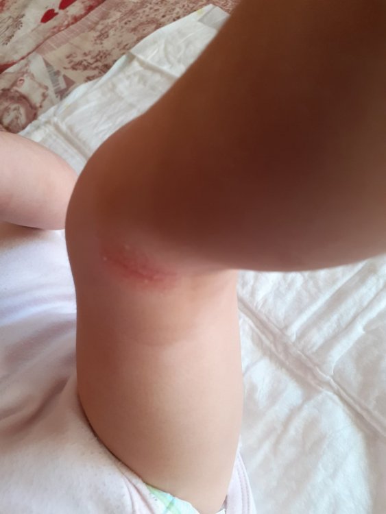 20201120_085127.jpg