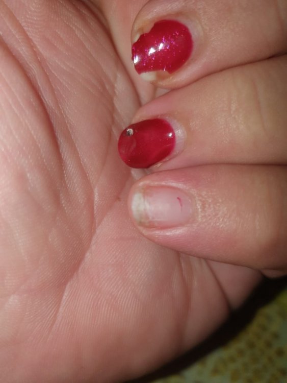 IMG-20201110-WA0072.jpg