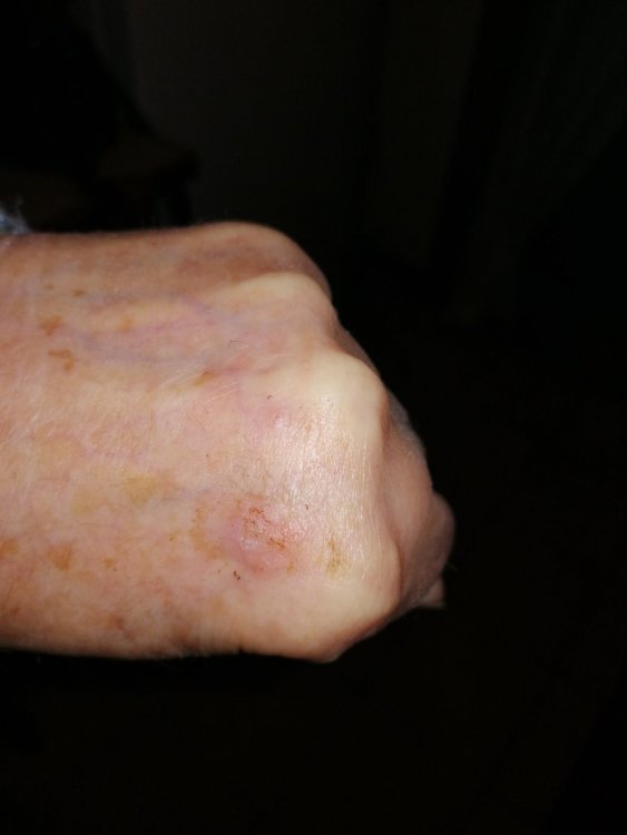 IMG_20201117_174723.jpg