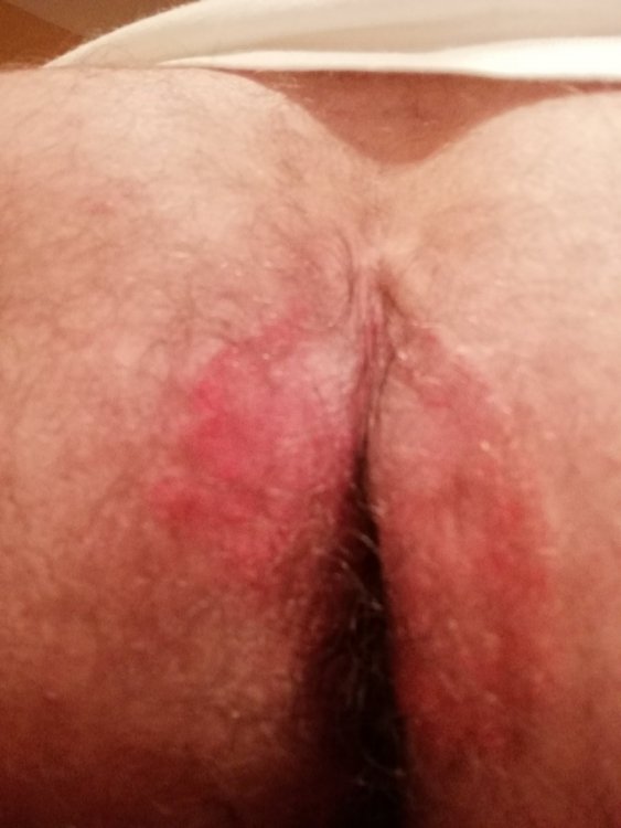 IMG_20201130_011012.thumb.jpg.b146a5a1f02e3ca65db4905e70681eff.jpg