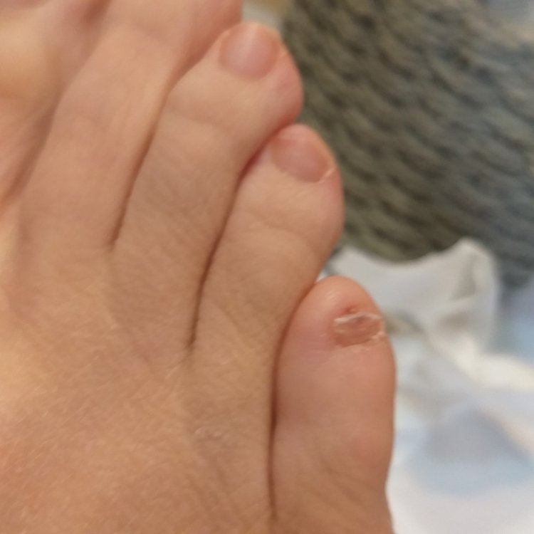 20201221_112647.jpg