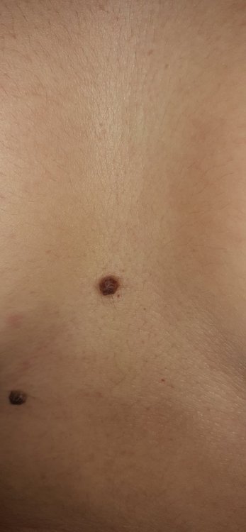 20201227_201009.jpg