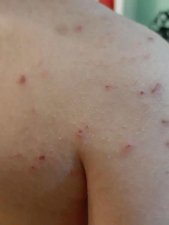 foto 4.jpg