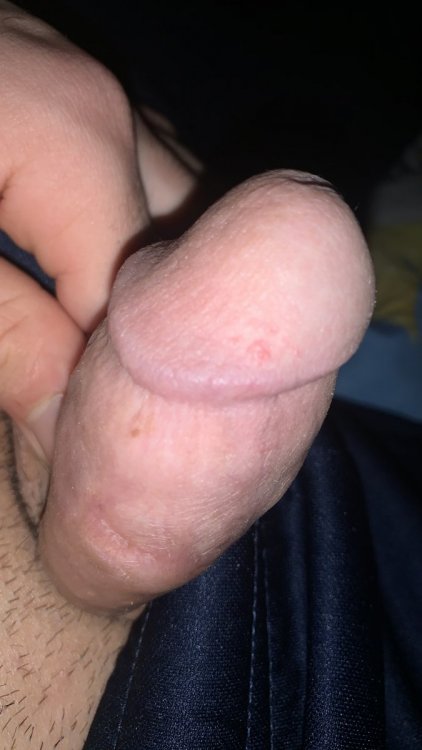 7A83A3D4-922F-4945-BE02-8BEDB521DAF7.thumb.jpeg.b51b0e1bddd3b09c1916adc0ed1d43a8.jpeg