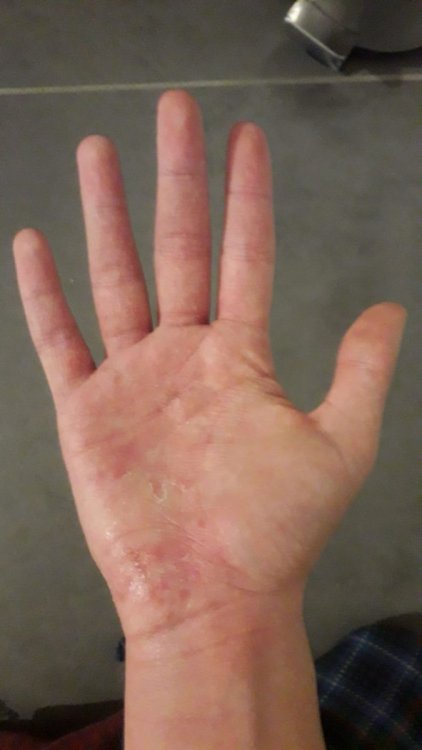 IMG-20201210-WA0000.jpg