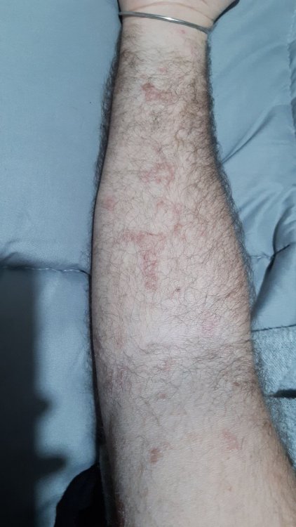 IMG-20201222-WA0004.jpeg