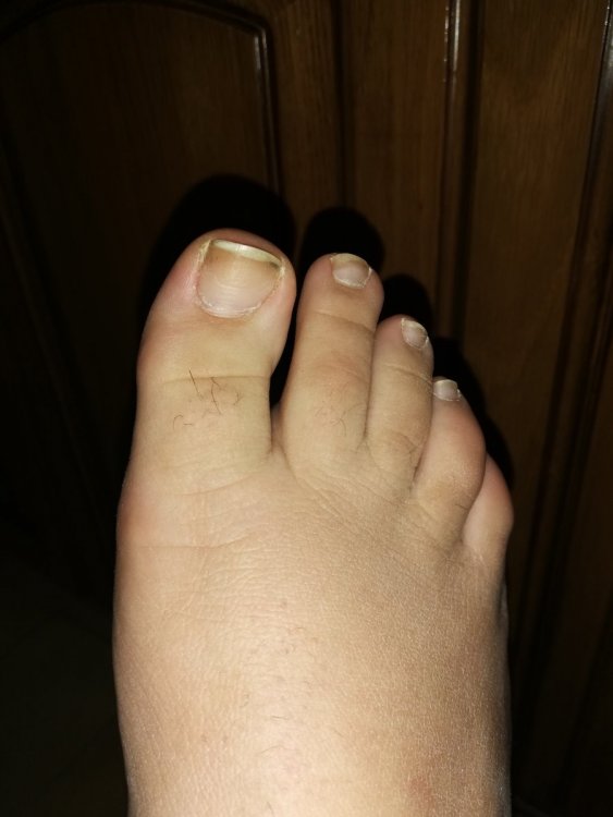 IMG_20201211_114422.jpg