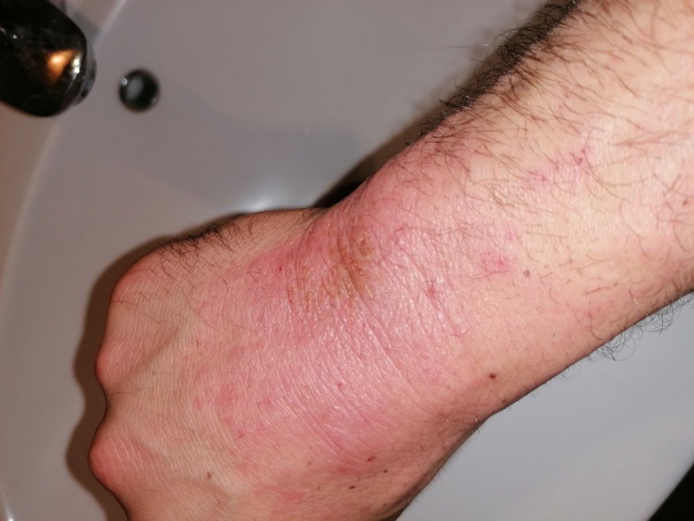IMG_20201216_000751.thumb.jpg.9a65bac986a6d32e7a5a88d287706173.jpg